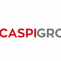 CASPİGROUP