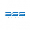BSS group