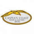 Caspian Coast WineryVineyards