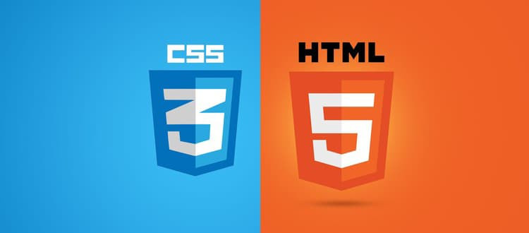 HTML və CSS kursu. Səviyyə 1. Saytların yaradılması изображение 1